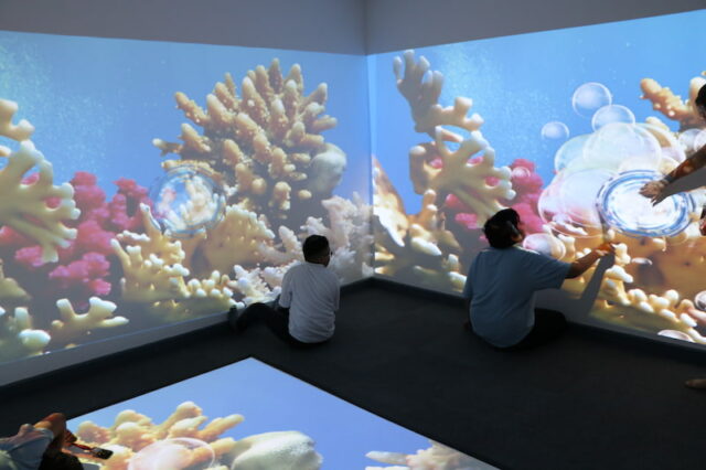 https://broadfield.lancs.sch.uk/wp-content/uploads/Broadfield-Sensory.jpg